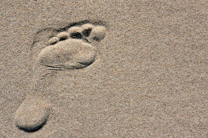 Achtsamkeit/Mindfulness: Weg und Weise zu sein….